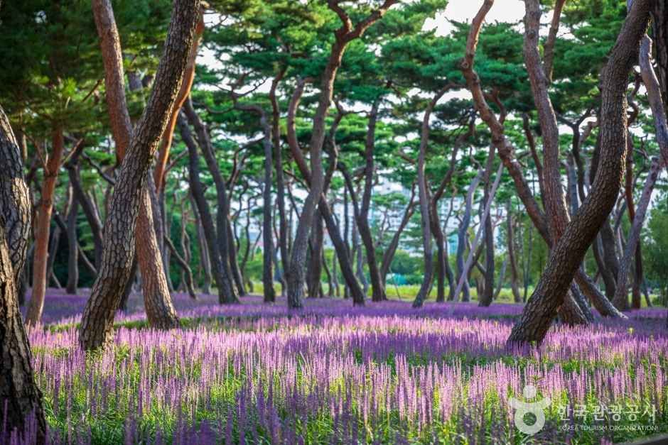 황성공원