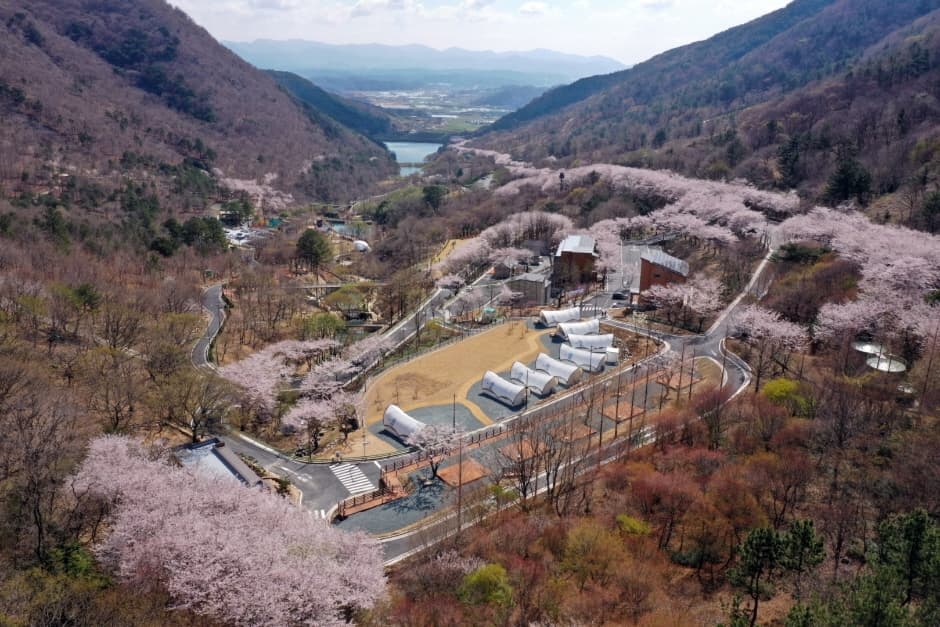 월아산 숲속의 진주