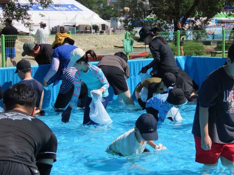 봉화은어축제