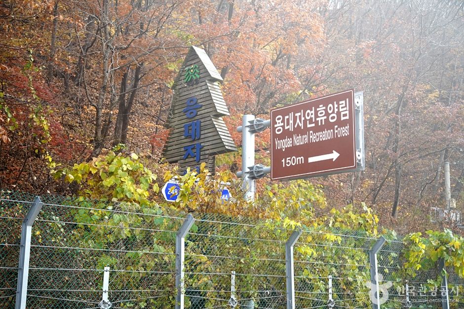 국립 용대자연휴양림