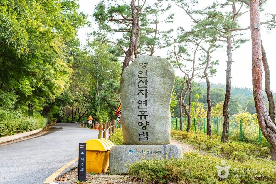 아산 영인산자연휴양림