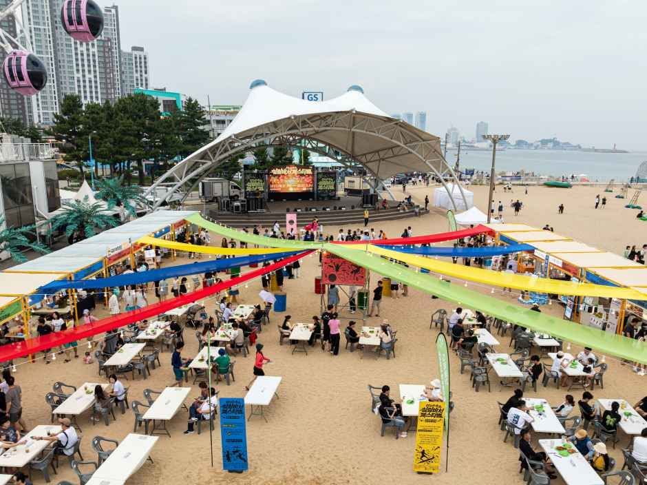 속초 썸머페스티벌