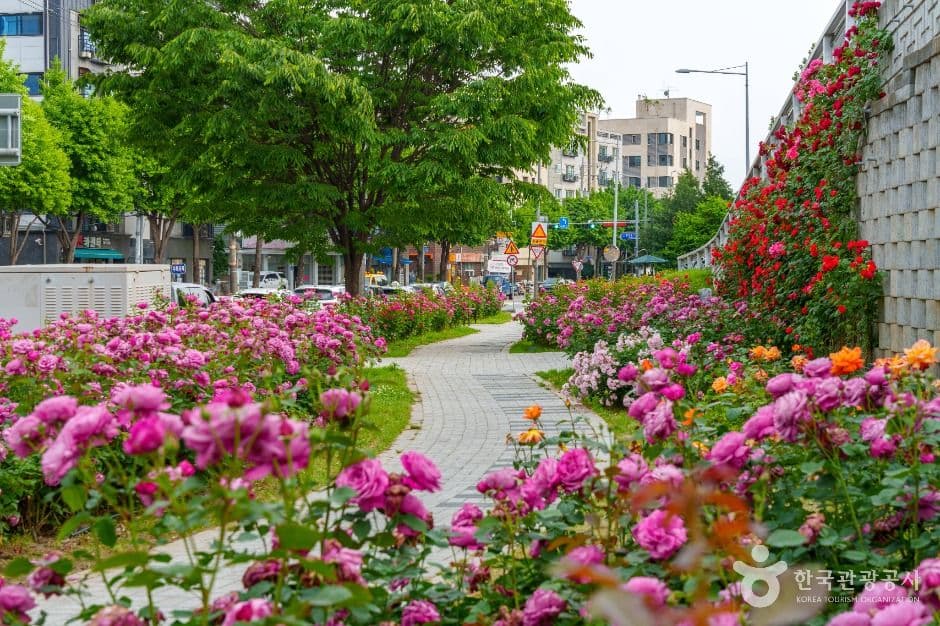중랑장미공원