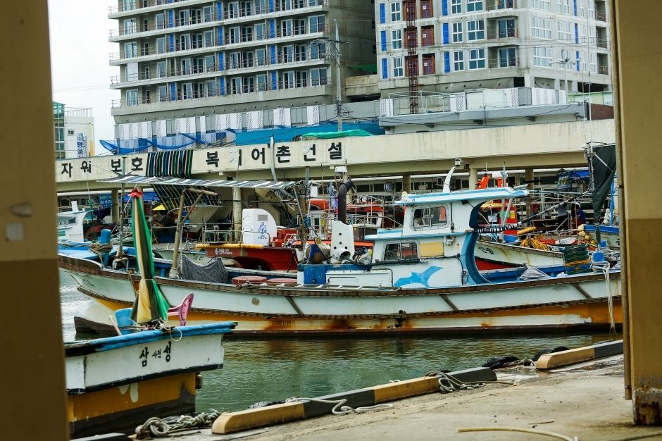 사천진항