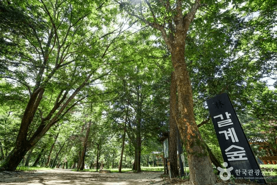 숲옛마을(갈계)